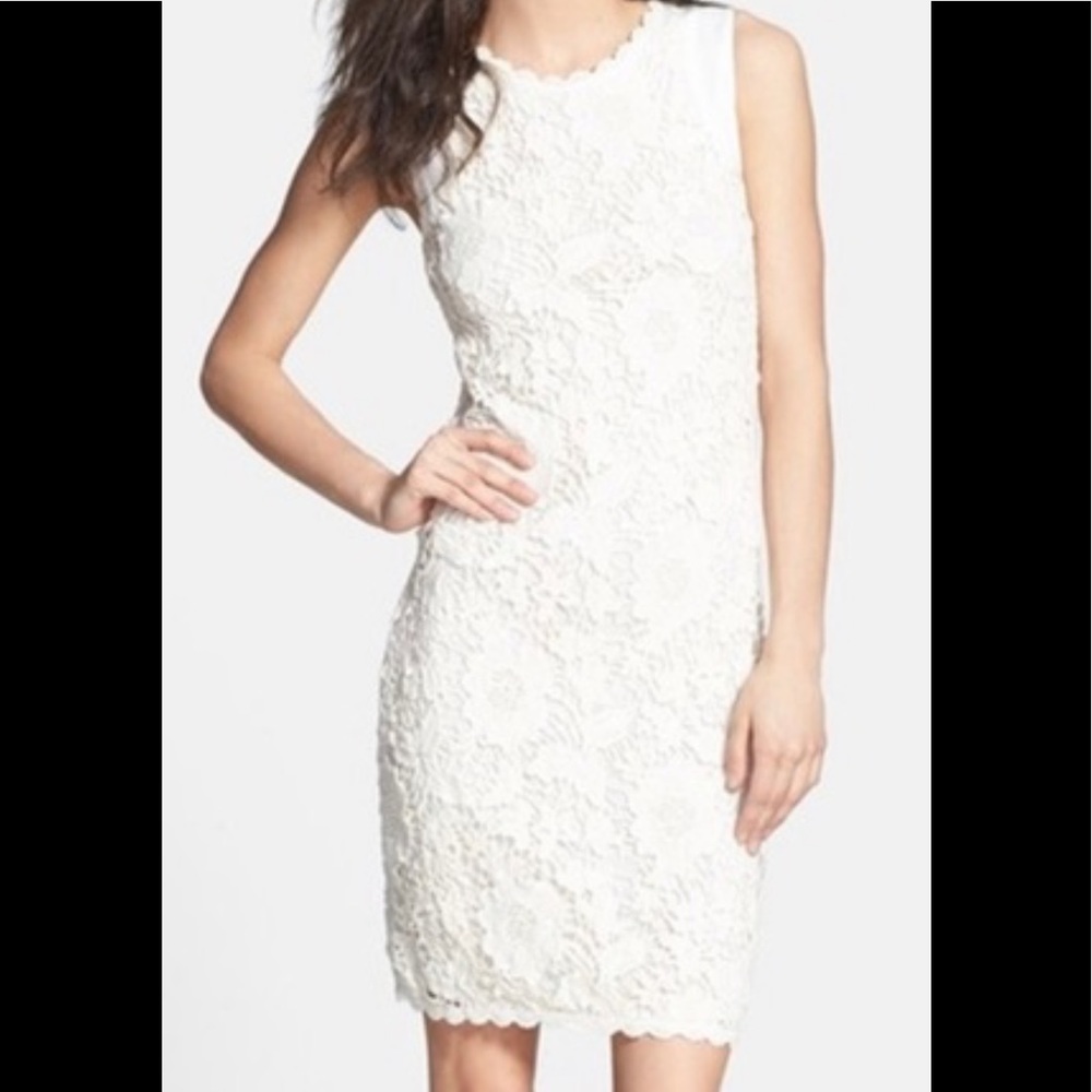 Velvet by graham and Spencer